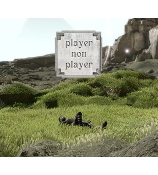 Player Non Player Steam Key GLOBAL